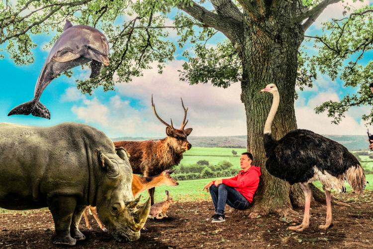 Affiche du spectacle Zaï Zaï : un homme est assis contre le tronc d'un arbre, entouré d'animaux multiples : rhinocéros, cerf, autruche. Un dauphin vole dans le ciel.