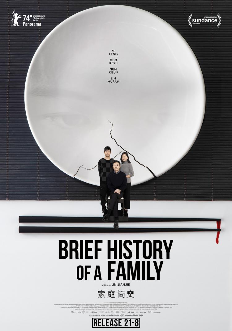 Affiche - Brief history of a family 