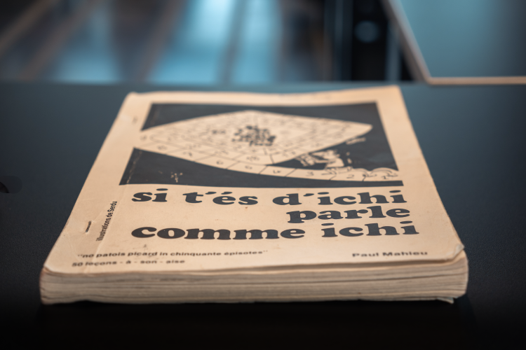 langue et culture régionales maison de la culture