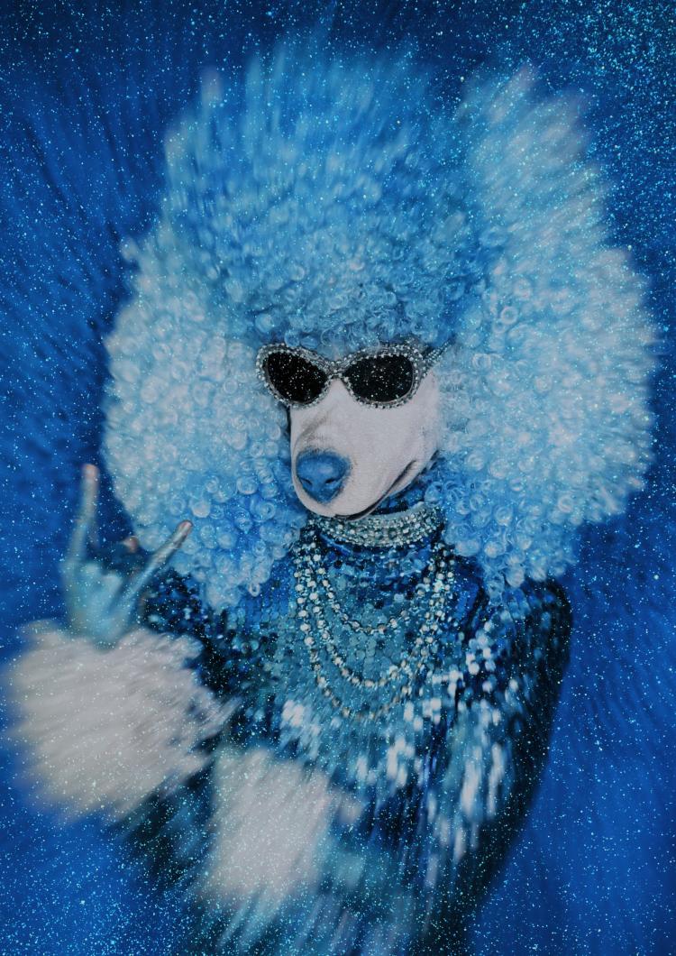 glow maison de la culture