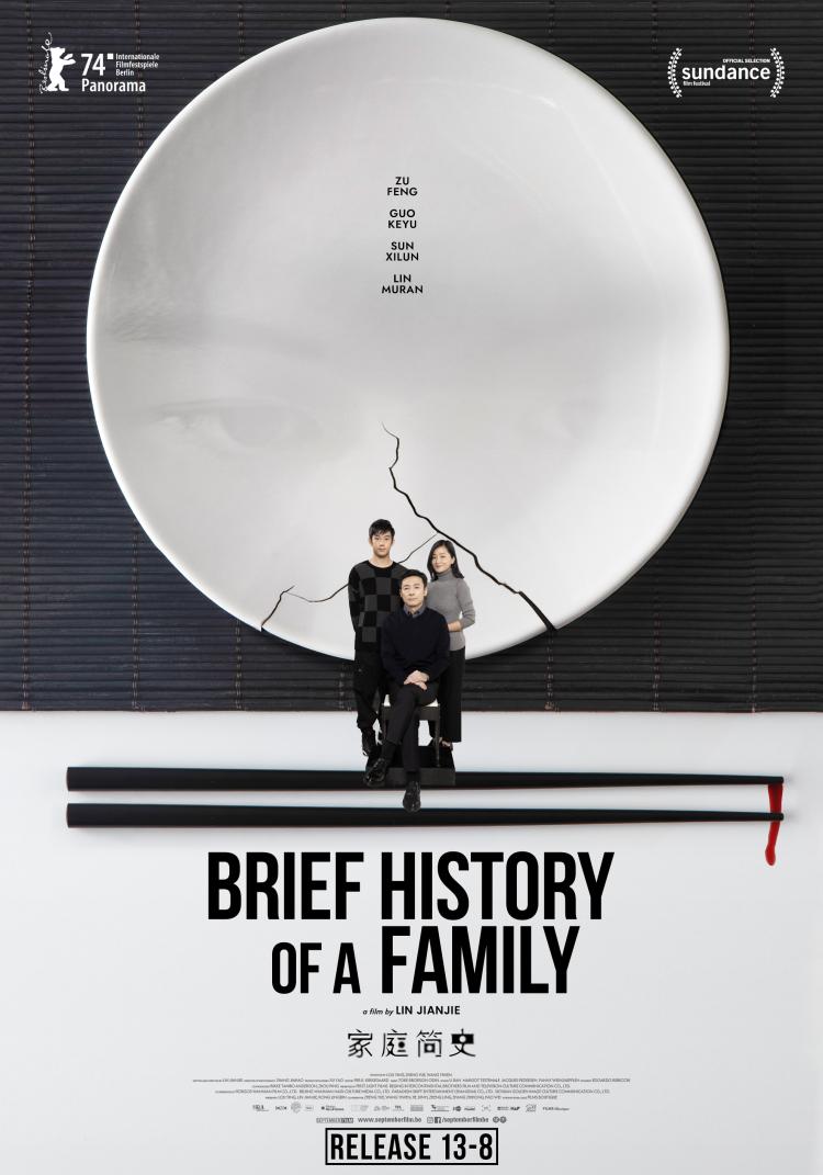 image du film Brief history of a family