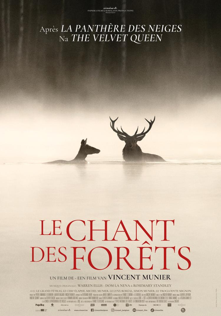 Image du film Le chant des forêts