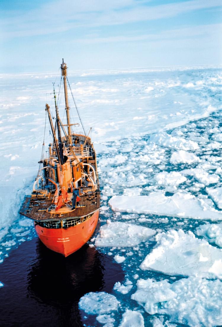 Image du film Antarctique