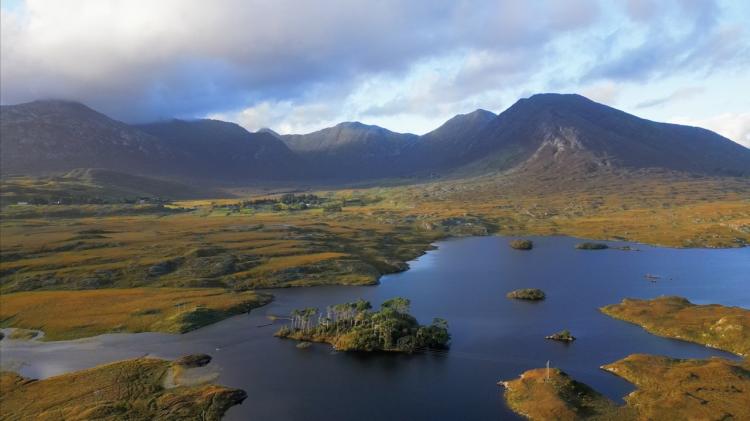 IRLANDE-I+ele-aux-Pins-Connemara-Large