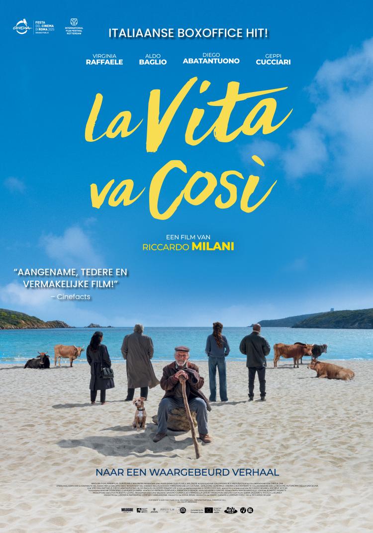 Poster---La-vita-va-cosi