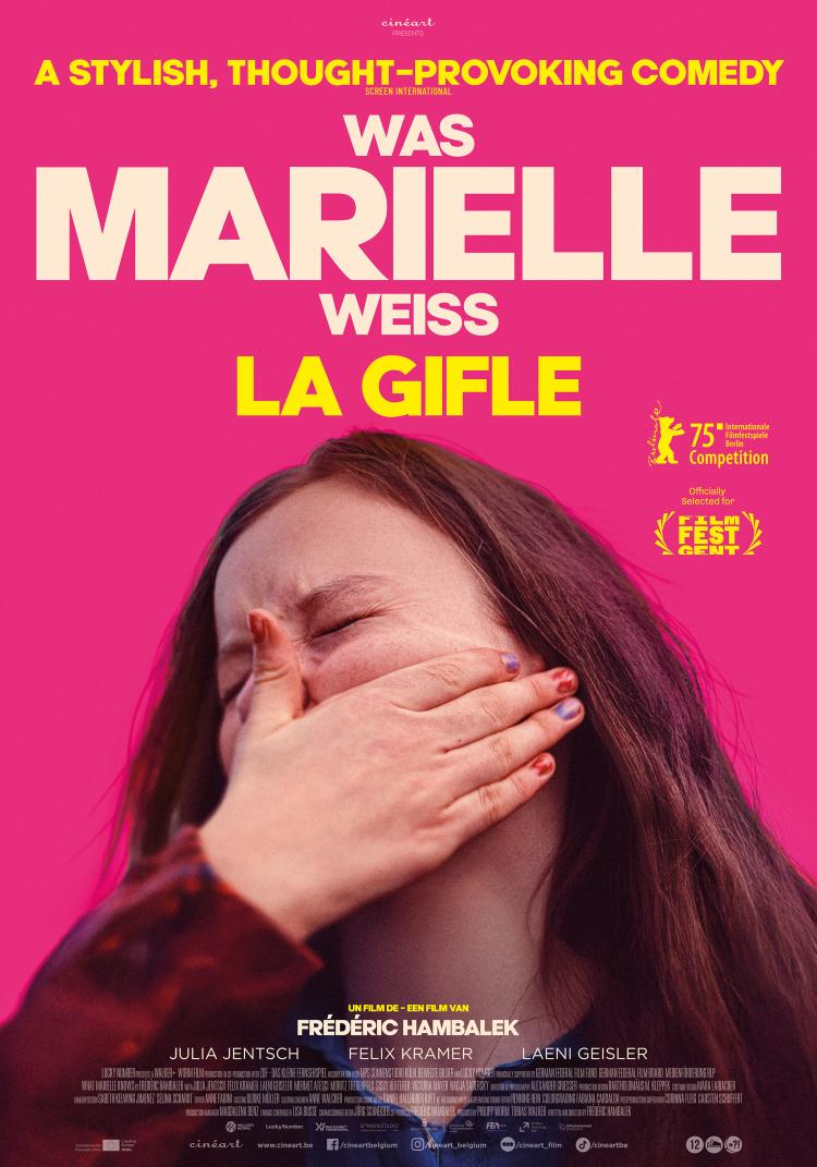 Poster---La-gifle