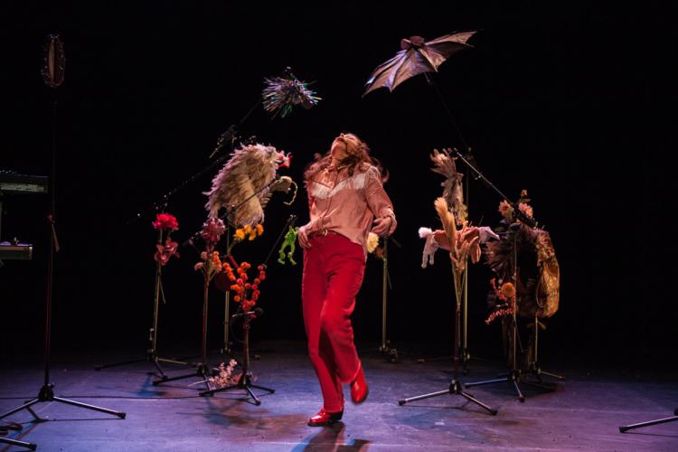 feu les animaux - spectacle enfant